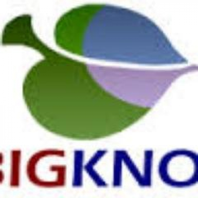 Bigknol - SEO, Android, Design Simplified